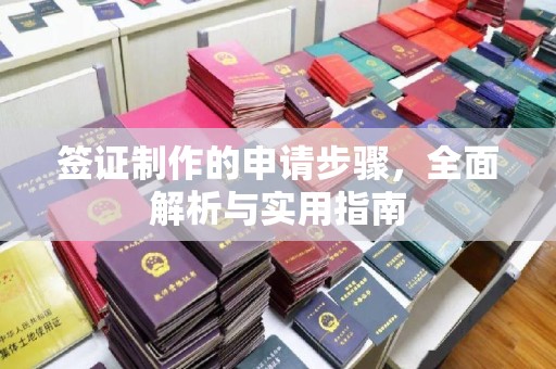 舒城签证制作的申请步骤，全面解析与实用指南